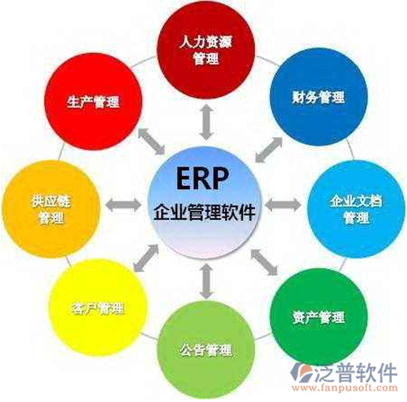 软件定制开发：构建企业专属IT生态链